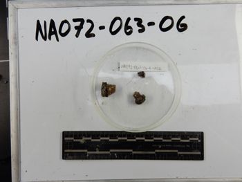 Media type: image;   Invertebrate Zoology 139285